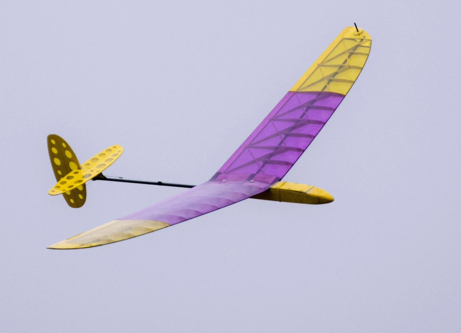 Alt 1m DLG - Image 3