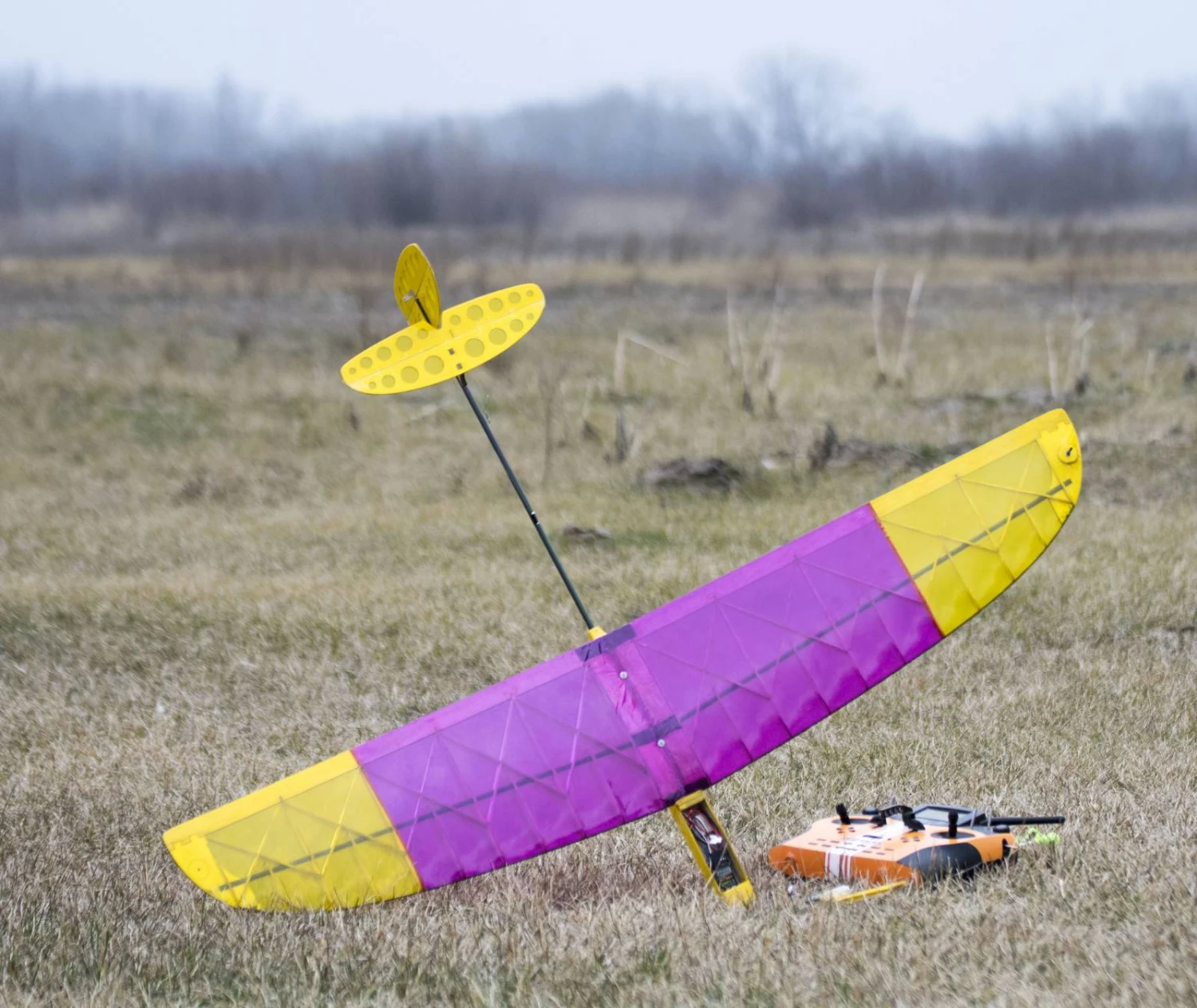 Alt 1m DLG - Image 7