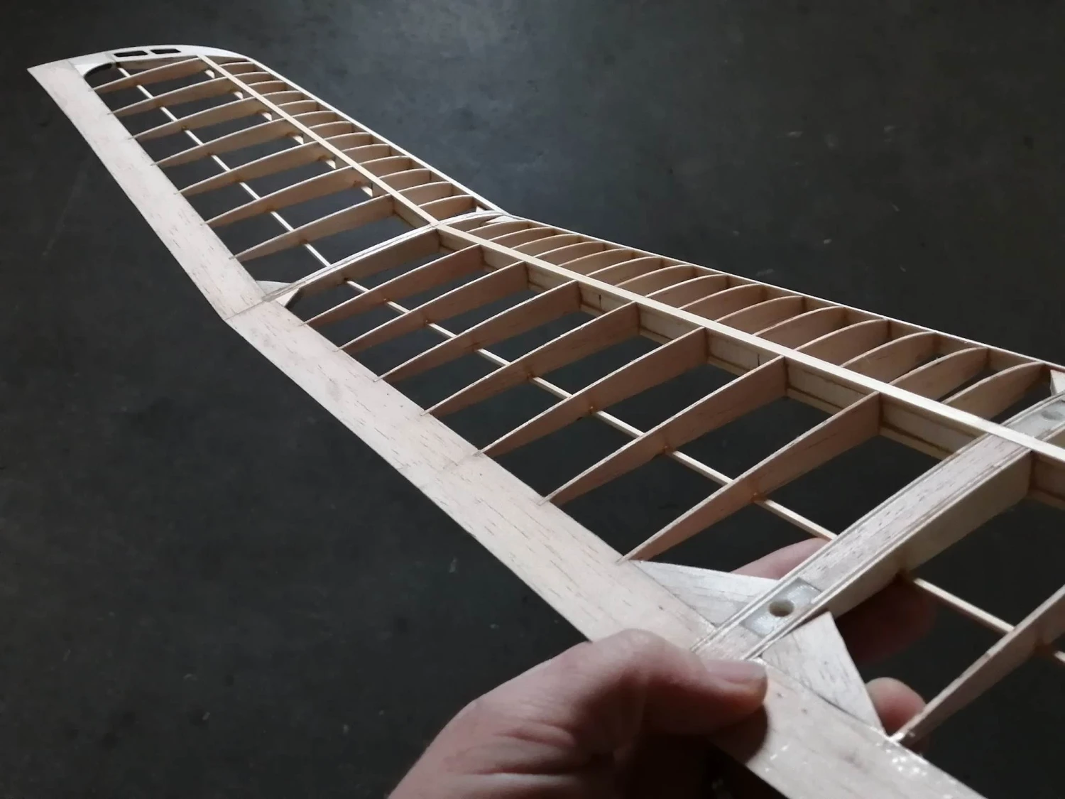 Mini Kiwi 1.33m - Image 12