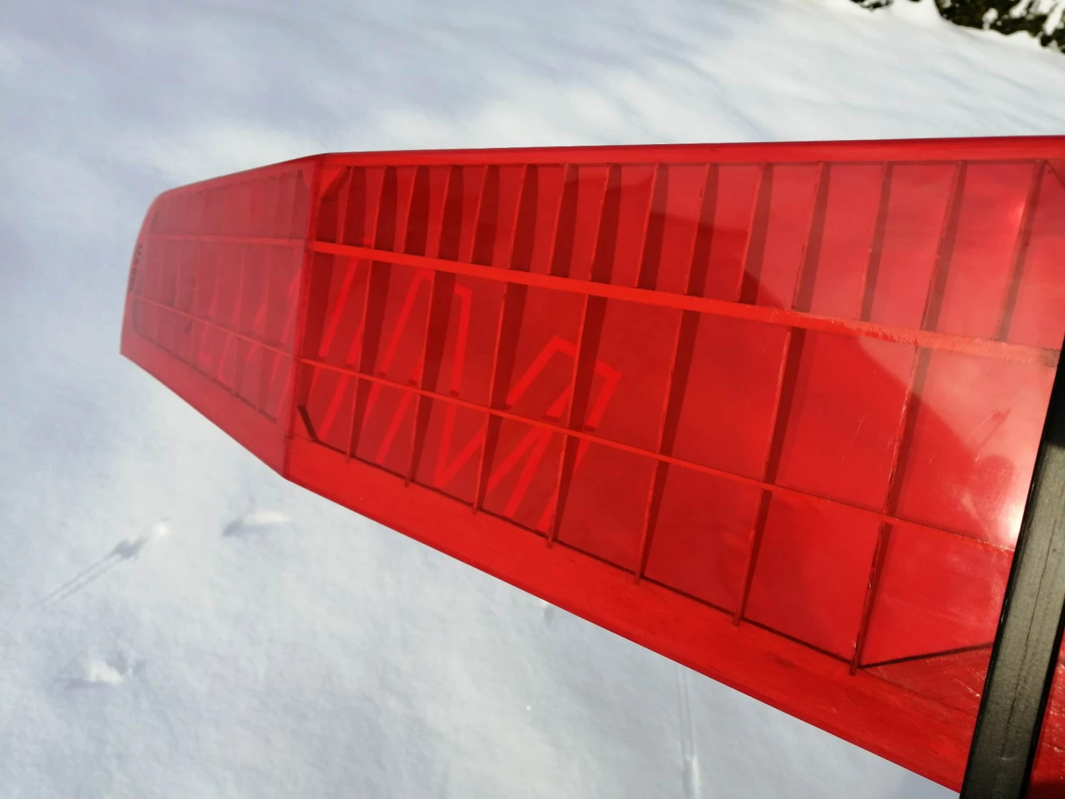 Mini Kiwi 1.33m - Image 7