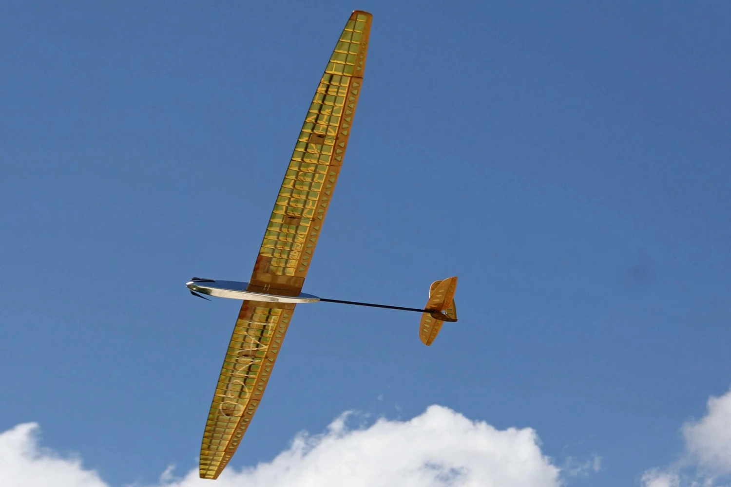 Tango F5J 3.1m - Image 4