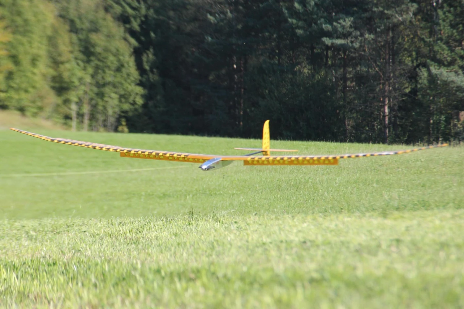 Tango F5J 3.1m - Image 7